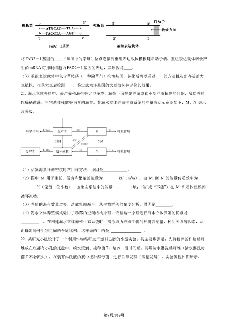 精品解析：湖北省荆州市沙市区湖北省沙市中学2023-2024学年高三下学期7月月考生物试题（原卷版）_2024-2025高三（6-6月题库）_2024年08月试卷