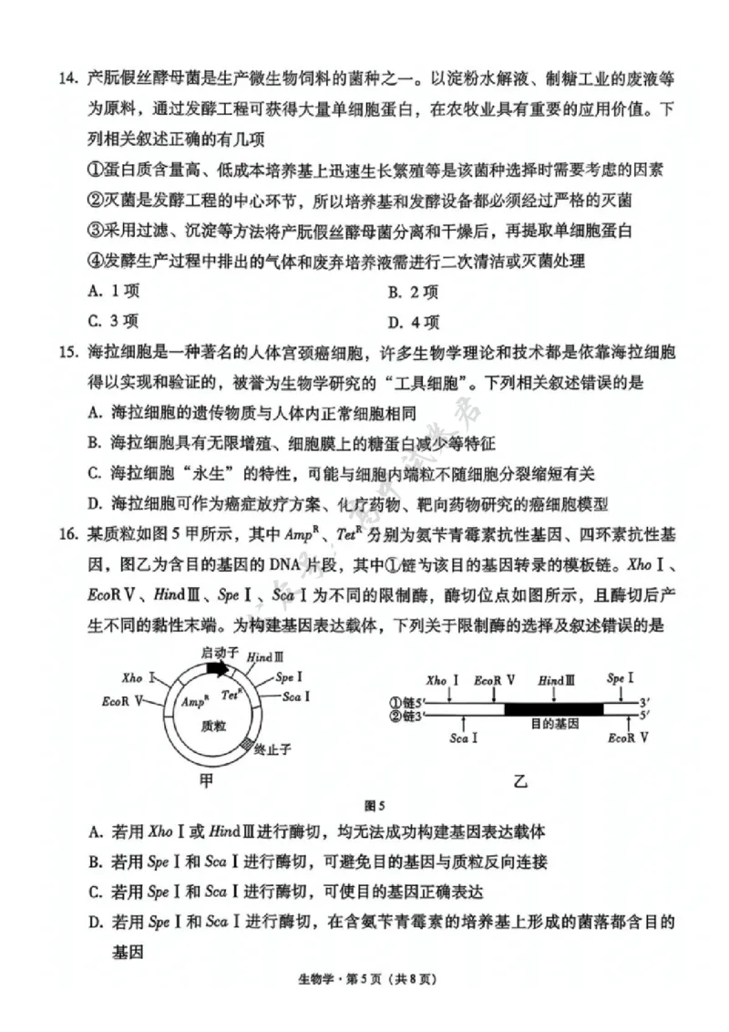 生物试卷-西南名校联盟2026届&ldquo;3+3+3&rdquo;高考备考诊断性联考（一）_2024-2026高三（6-6月题库）_2025年12月高三试卷_251225西南名校联盟2026届&ldquo;3+3+3&rdquo;高考备考诊断性联考（一）（全科）