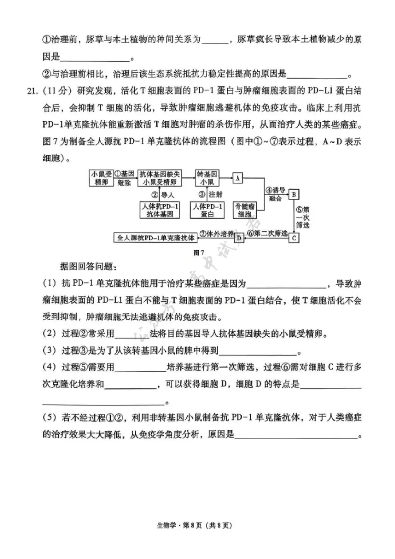 生物试卷-西南名校联盟2026届&ldquo;3+3+3&rdquo;高考备考诊断性联考（一）_2024-2026高三（6-6月题库）_2025年12月高三试卷_251225西南名校联盟2026届&ldquo;3+3+3&rdquo;高考备考诊断性联考（一）（全科）