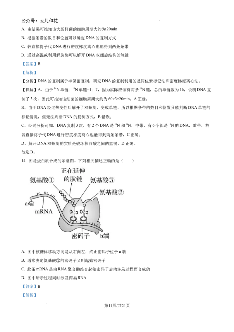 重庆市西北狼联盟2024-2025学年高二上学期开学调研生物试题（解析）_2024-2025高二（7-7月题库）_2024年09月试卷_0926重庆西北狼联盟2024年高二上学期入学联考