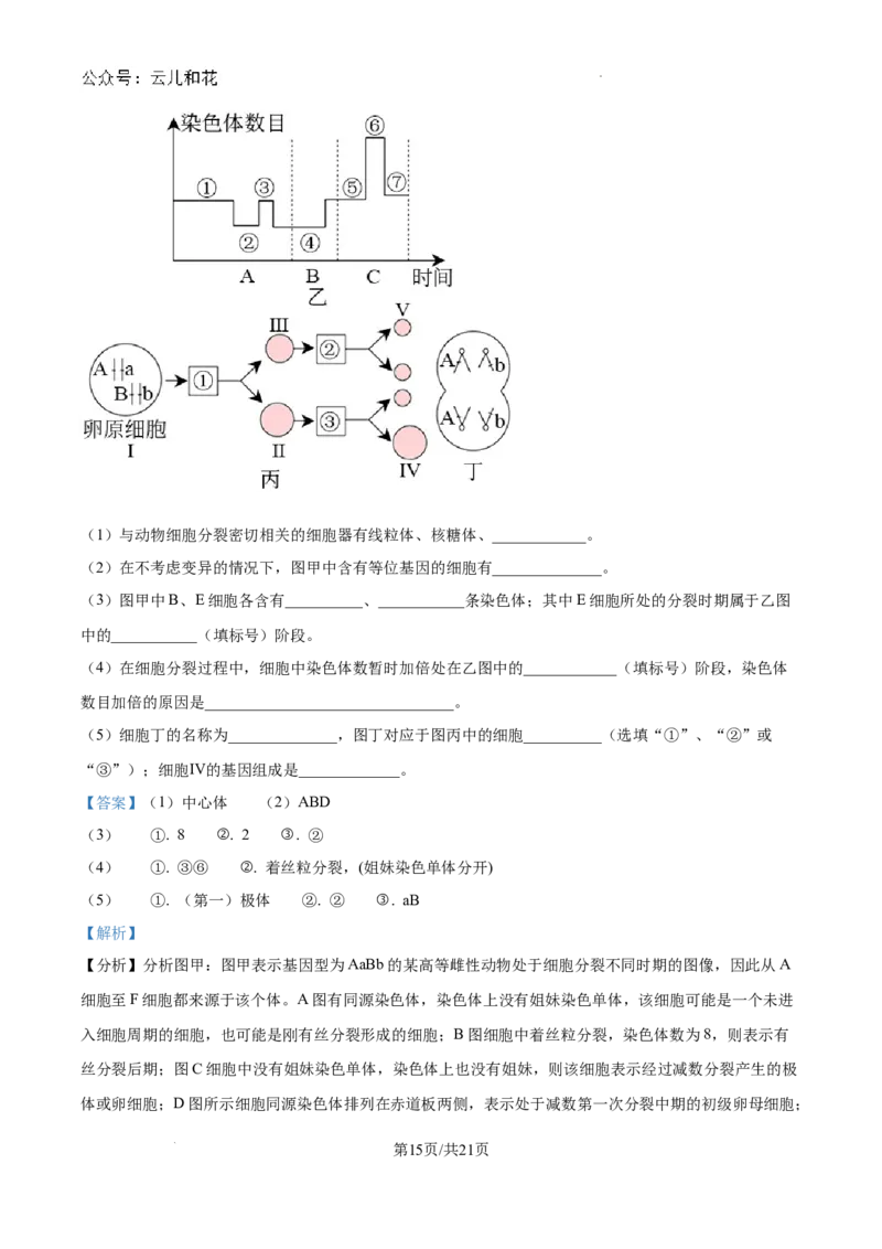 重庆市西北狼联盟2024-2025学年高二上学期开学调研生物试题（解析）_2024-2025高二（7-7月题库）_2024年09月试卷_0926重庆西北狼联盟2024年高二上学期入学联考