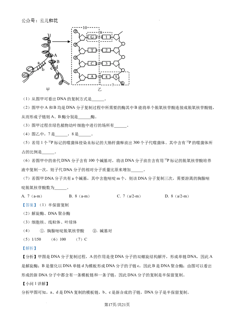 重庆市西北狼联盟2024-2025学年高二上学期开学调研生物试题（解析）_2024-2025高二（7-7月题库）_2024年09月试卷_0926重庆西北狼联盟2024年高二上学期入学联考