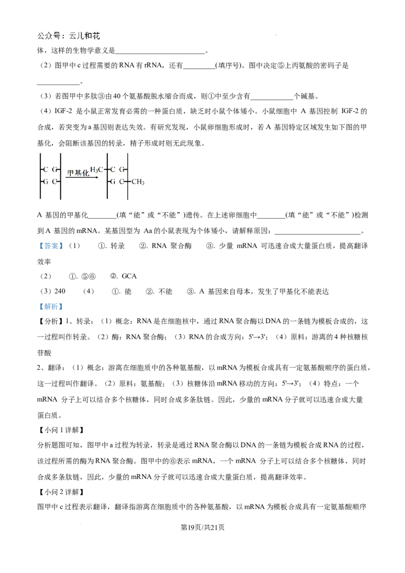 重庆市西北狼联盟2024-2025学年高二上学期开学调研生物试题（解析）_2024-2025高二（7-7月题库）_2024年09月试卷_0926重庆西北狼联盟2024年高二上学期入学联考