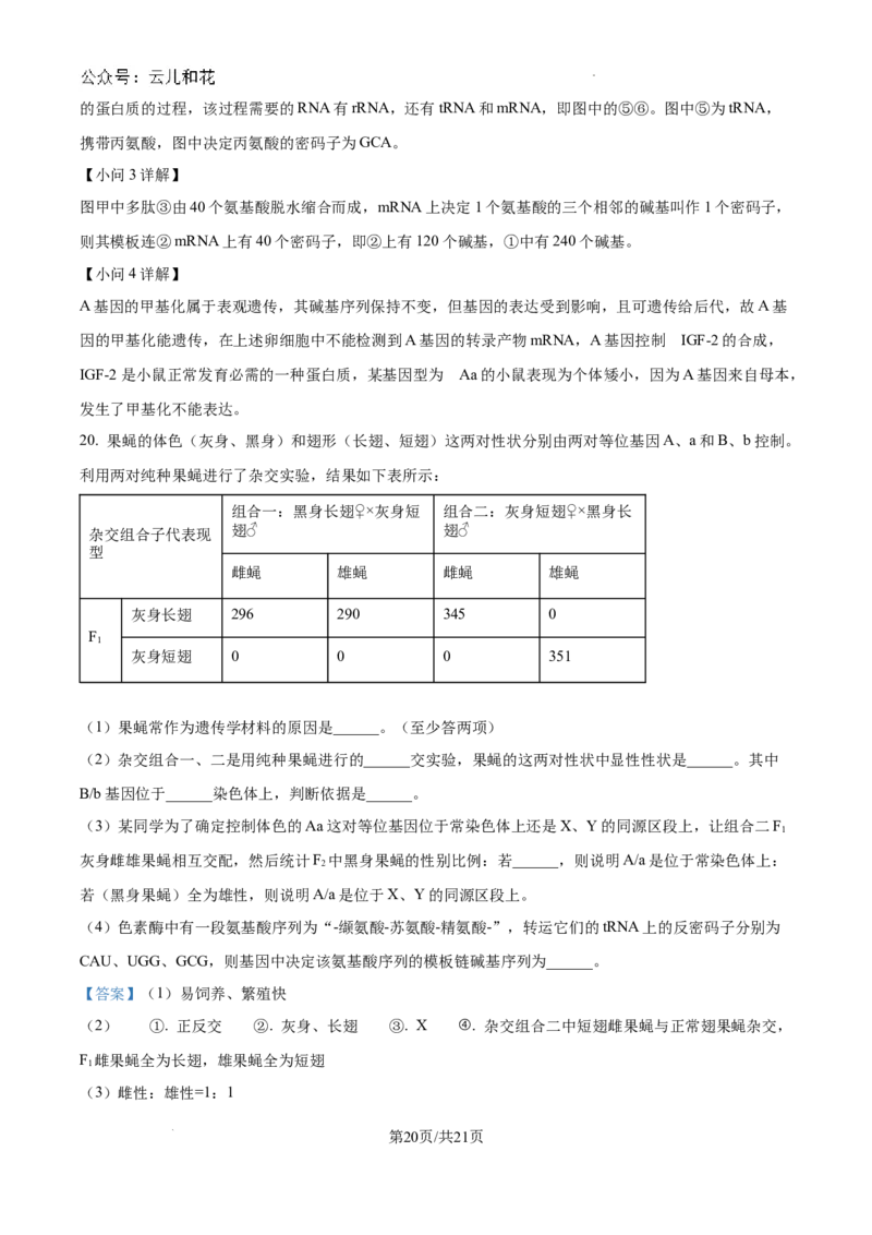 重庆市西北狼联盟2024-2025学年高二上学期开学调研生物试题（解析）_2024-2025高二（7-7月题库）_2024年09月试卷_0926重庆西北狼联盟2024年高二上学期入学联考
