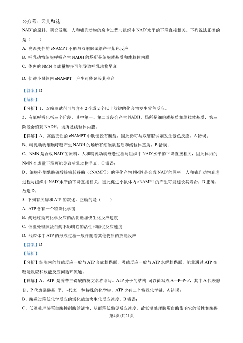 重庆市西北狼联盟2024-2025学年高二上学期开学调研生物试题（解析）_2024-2025高二（7-7月题库）_2024年09月试卷_0926重庆西北狼联盟2024年高二上学期入学联考