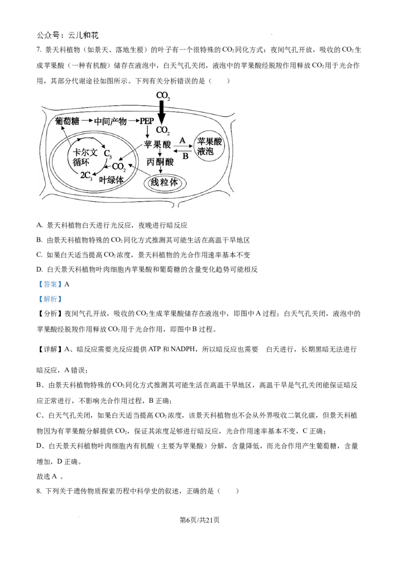 重庆市西北狼联盟2024-2025学年高二上学期开学调研生物试题（解析）_2024-2025高二（7-7月题库）_2024年09月试卷_0926重庆西北狼联盟2024年高二上学期入学联考