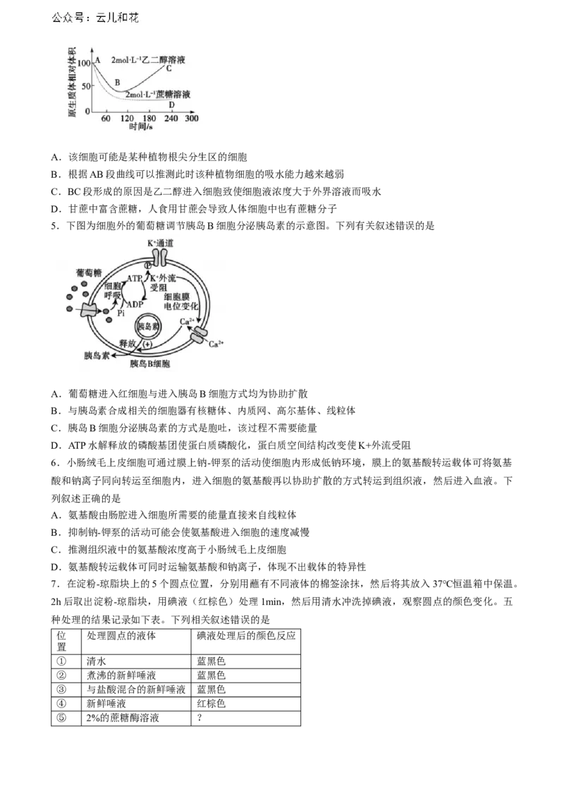 山东省泰安市2023-2024学年高二下学期7月期末生物试题_2024年07月试卷_0721山东省泰安市2023-2024学年高二下学期7月期末考试_山东省泰安市2023-2024学年高二下学期7月期末生物试题(无答案)