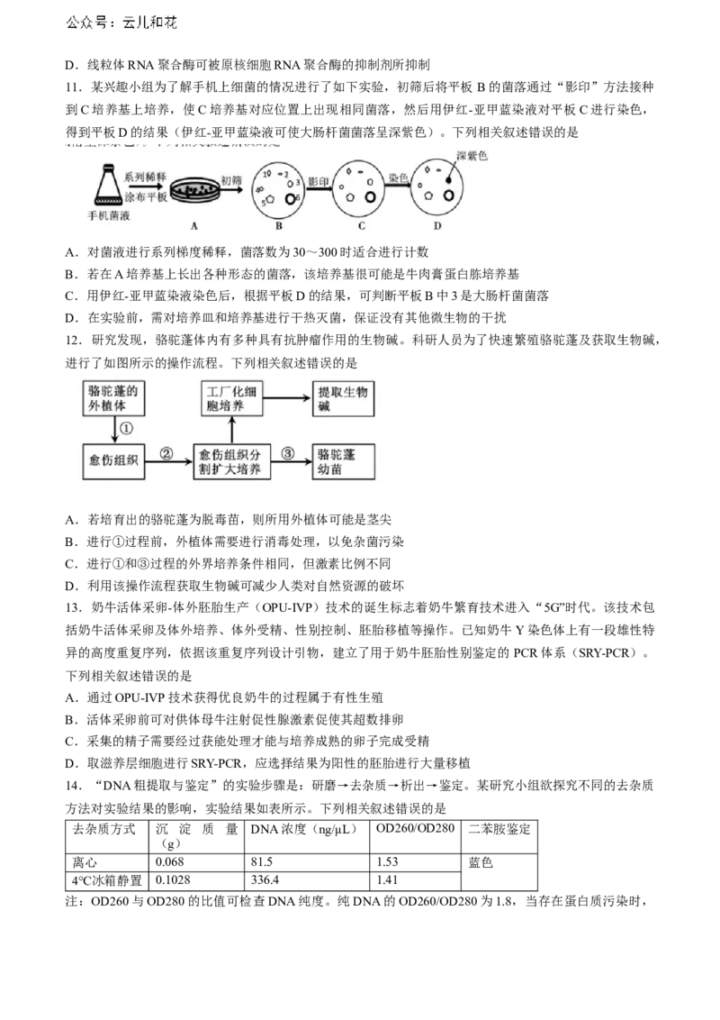 山东省泰安市2023-2024学年高二下学期7月期末生物试题_2024年07月试卷_0721山东省泰安市2023-2024学年高二下学期7月期末考试_山东省泰安市2023-2024学年高二下学期7月期末生物试题(无答案)