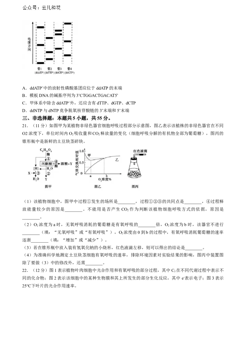 山东省泰安市2023-2024学年高二下学期7月期末生物试题_2024年07月试卷_0721山东省泰安市2023-2024学年高二下学期7月期末考试_山东省泰安市2023-2024学年高二下学期7月期末生物试题(无答案)