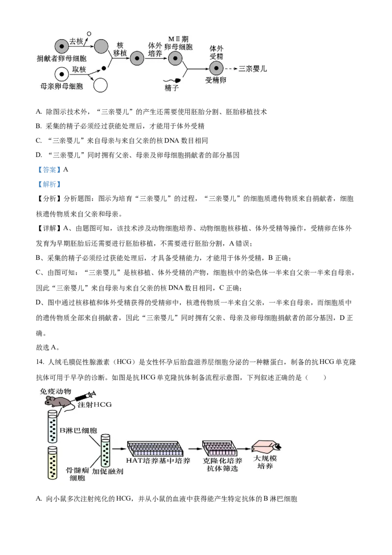 山东省枣庄市滕州市实验高级中学2024-2025学年高二下学期3月月考生物试题Word版含解析_2025年04月试卷_0406山东省枣庄市滕州实验高级中学2024-2025学年高二下学期第一次调研考试