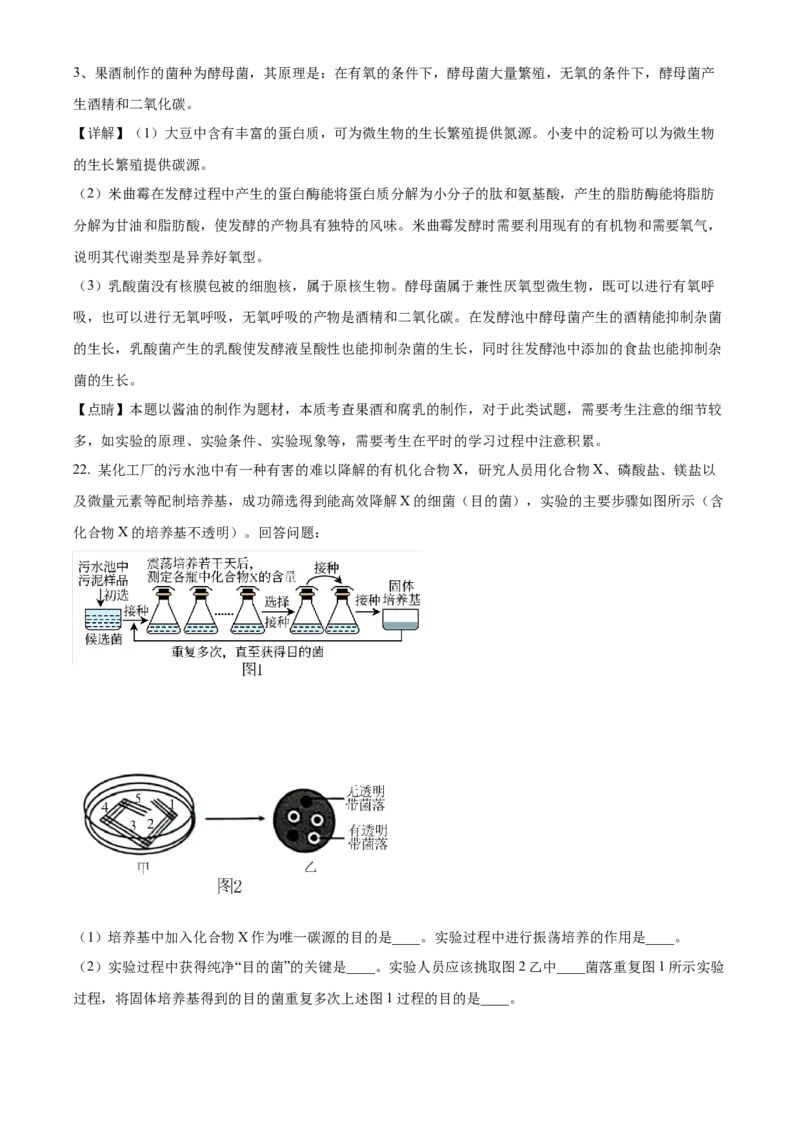 山东省枣庄市滕州市实验高级中学2024-2025学年高二下学期3月月考生物试题Word版含解析_2025年04月试卷_0406山东省枣庄市滕州实验高级中学2024-2025学年高二下学期第一次调研考试
