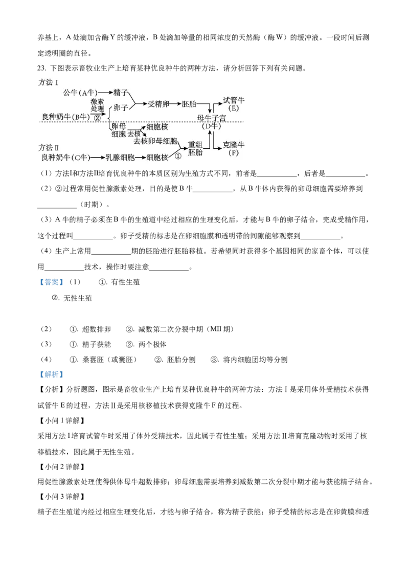 山东省枣庄市滕州市实验高级中学2024-2025学年高二下学期3月月考生物试题Word版含解析_2025年04月试卷_0406山东省枣庄市滕州实验高级中学2024-2025学年高二下学期第一次调研考试