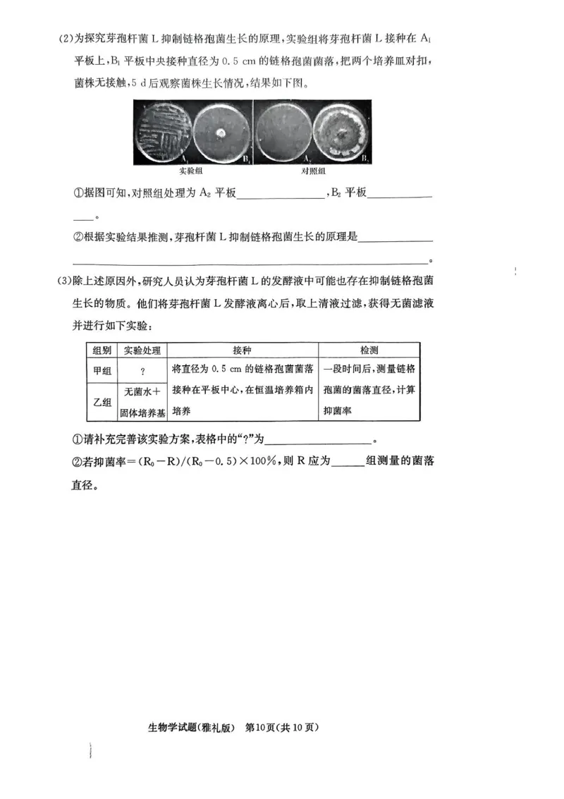湖南省长沙市雅礼中学2024-2025学年高三上学期月考卷（一）生物试卷+答案_2024-2025高三（6-6月题库）_2024年09月试卷_0908湖南省长沙市雅礼中学2025届高三月考试卷（一）