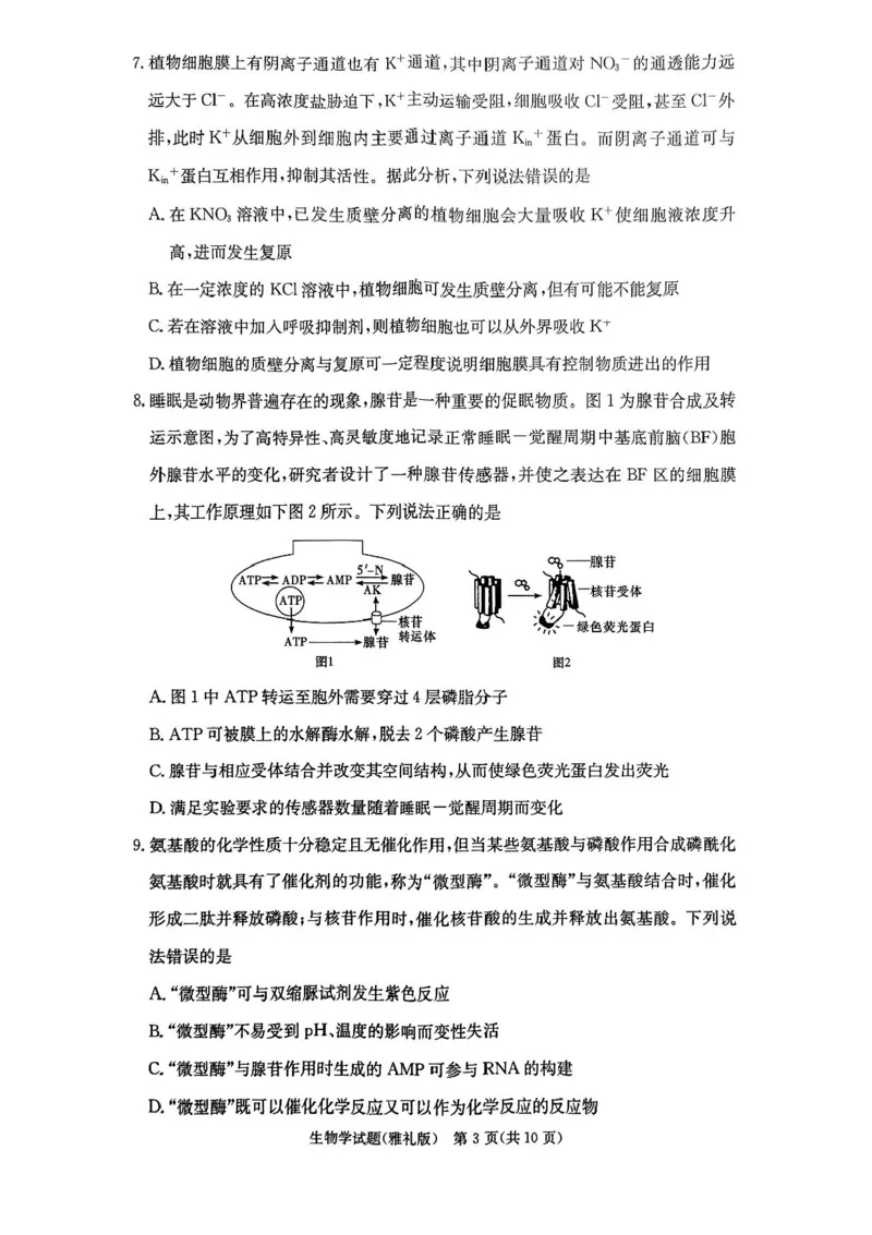 湖南省长沙市雅礼中学2024-2025学年高三上学期月考卷（一）生物试卷+答案_2024-2025高三（6-6月题库）_2024年09月试卷_0908湖南省长沙市雅礼中学2025届高三月考试卷（一）