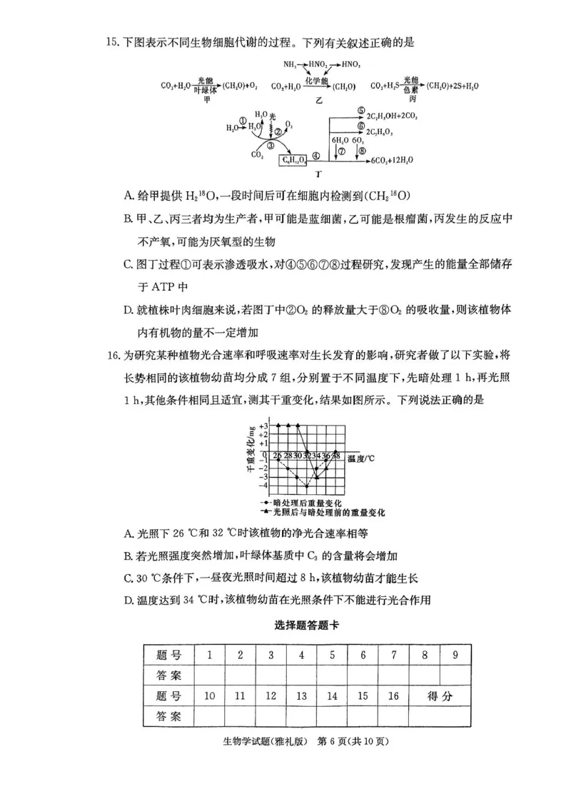 湖南省长沙市雅礼中学2024-2025学年高三上学期月考卷（一）生物试卷+答案_2024-2025高三（6-6月题库）_2024年09月试卷_0908湖南省长沙市雅礼中学2025届高三月考试卷（一）