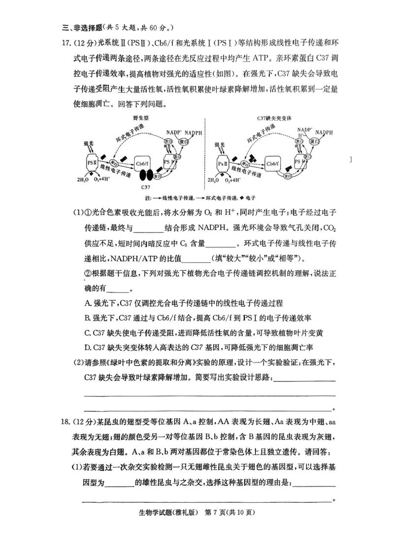 湖南省长沙市雅礼中学2024-2025学年高三上学期月考卷（一）生物试卷+答案_2024-2025高三（6-6月题库）_2024年09月试卷_0908湖南省长沙市雅礼中学2025届高三月考试卷（一）