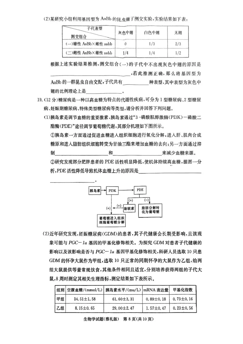 湖南省长沙市雅礼中学2024-2025学年高三上学期月考卷（一）生物试卷+答案_2024-2025高三（6-6月题库）_2024年09月试卷_0908湖南省长沙市雅礼中学2025届高三月考试卷（一）