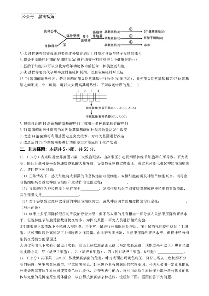 河南省鹤壁市淇滨区鹤壁市高中2024-2025学年高三上学期7月月考生物试题_2024-2025高三（6-6月题库）_2024年08月试卷_0805河南鹤壁高中2025届高三上学期第一次综合检测（7月）