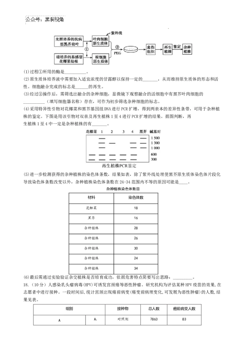 河南省鹤壁市淇滨区鹤壁市高中2024-2025学年高三上学期7月月考生物试题_2024-2025高三（6-6月题库）_2024年08月试卷_0805河南鹤壁高中2025届高三上学期第一次综合检测（7月）