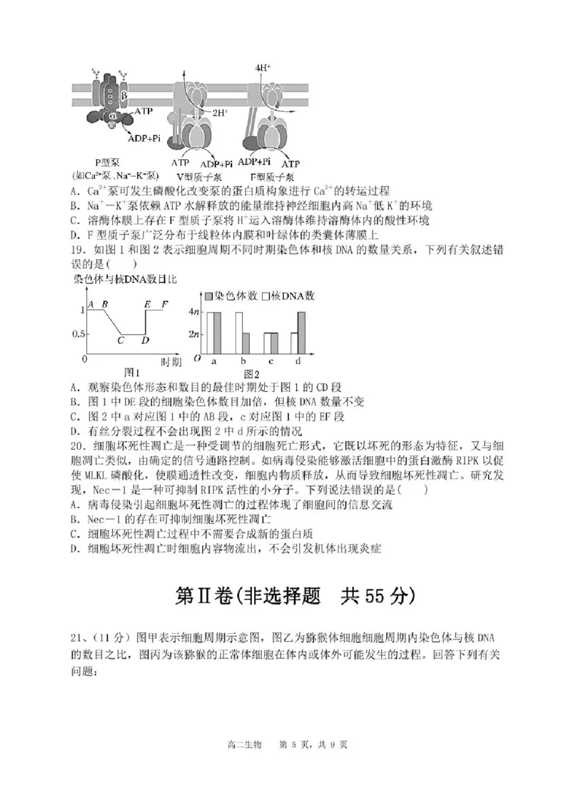 辽宁省沈阳市省五校协作体2023-2024学年高二下学期7月期末联考生物试题_2024-2025高二（7-7月题库）_2024年07月试卷_0723辽宁省沈阳市五校协作体2023-2024学年高二下学期7月期末联考