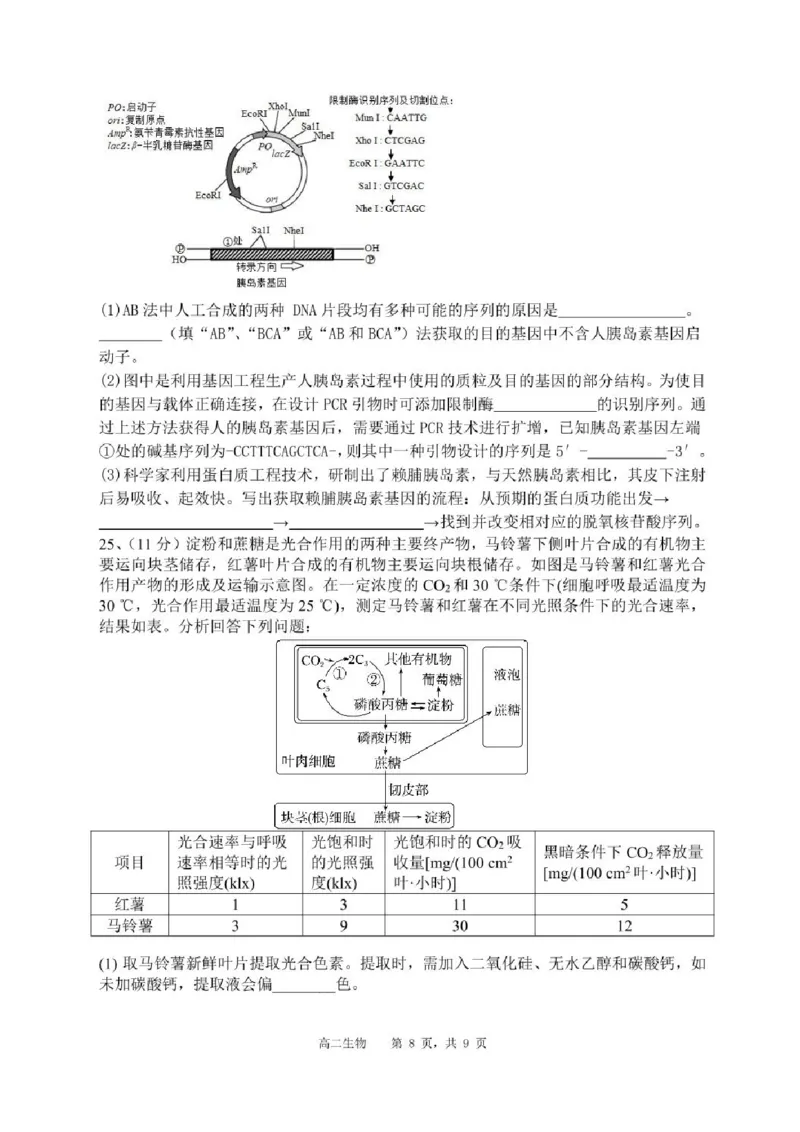 辽宁省沈阳市省五校协作体2023-2024学年高二下学期7月期末联考生物试题_2024-2025高二（7-7月题库）_2024年07月试卷_0723辽宁省沈阳市五校协作体2023-2024学年高二下学期7月期末联考