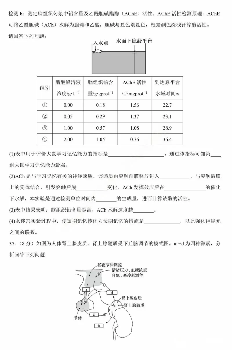 黑龙江省哈尔滨市第九中学校2024-2025学年高二上学期12月月考生物试卷（图片版，含答案）_2024-2025高二（7-7月题库）_2025年01月试卷