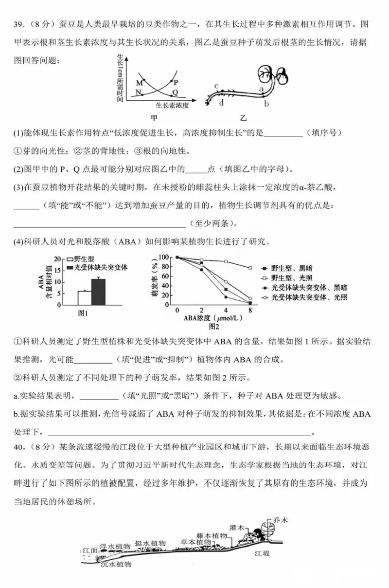 黑龙江省哈尔滨市第九中学校2024-2025学年高二上学期12月月考生物试卷（图片版，含答案）_2024-2025高二（7-7月题库）_2025年01月试卷