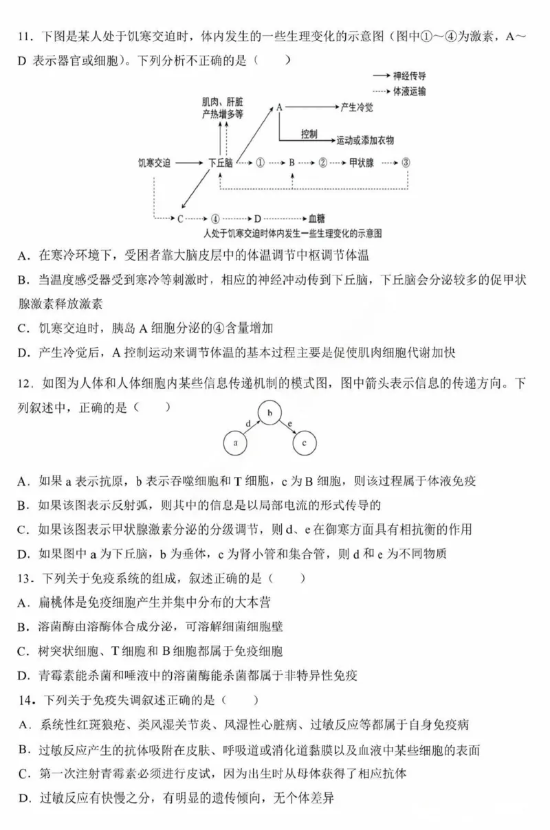 黑龙江省哈尔滨市第九中学校2024-2025学年高二上学期12月月考生物试卷（图片版，含答案）_2024-2025高二（7-7月题库）_2025年01月试卷