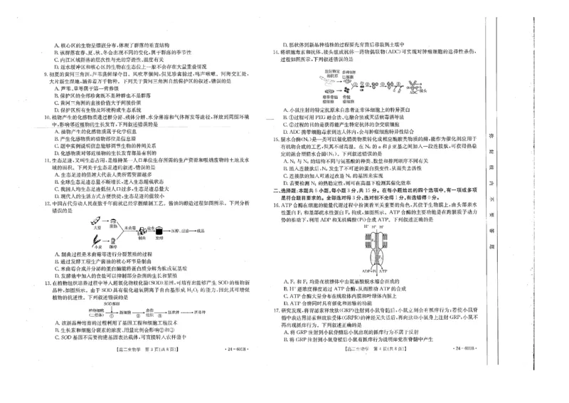 生物试卷_2024-2025高二（7-7月题库）_2024年07月试卷_0711河南省新乡市2023-2024学年高二下学期7月期末（金太阳601B）_河南省新乡市金太阳联考2023-2024学年高二下学期7月期末生物试题