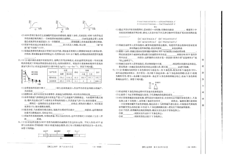 生物试卷_2024-2025高二（7-7月题库）_2024年07月试卷_0711河南省新乡市2023-2024学年高二下学期7月期末（金太阳601B）_河南省新乡市金太阳联考2023-2024学年高二下学期7月期末生物试题