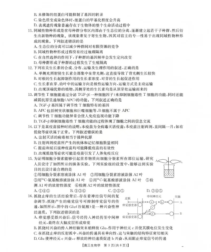 新疆2026届高三上学期12月联考（26-159C）生物_2024-2026高三（6-6月题库）_2026年01月高三试卷_0115金太阳&middot;新疆2026届高三上学期12月联考（26-159C）（全）