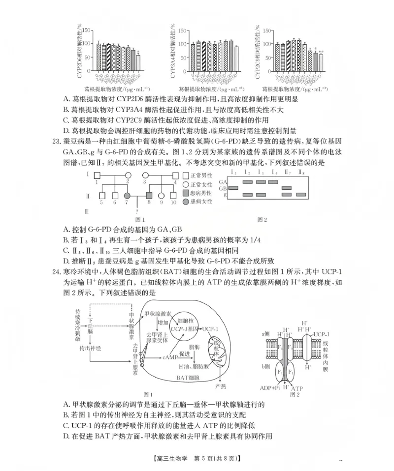 新疆2026届高三上学期12月联考（26-159C）生物_2024-2026高三（6-6月题库）_2026年01月高三试卷_0115金太阳&middot;新疆2026届高三上学期12月联考（26-159C）（全）