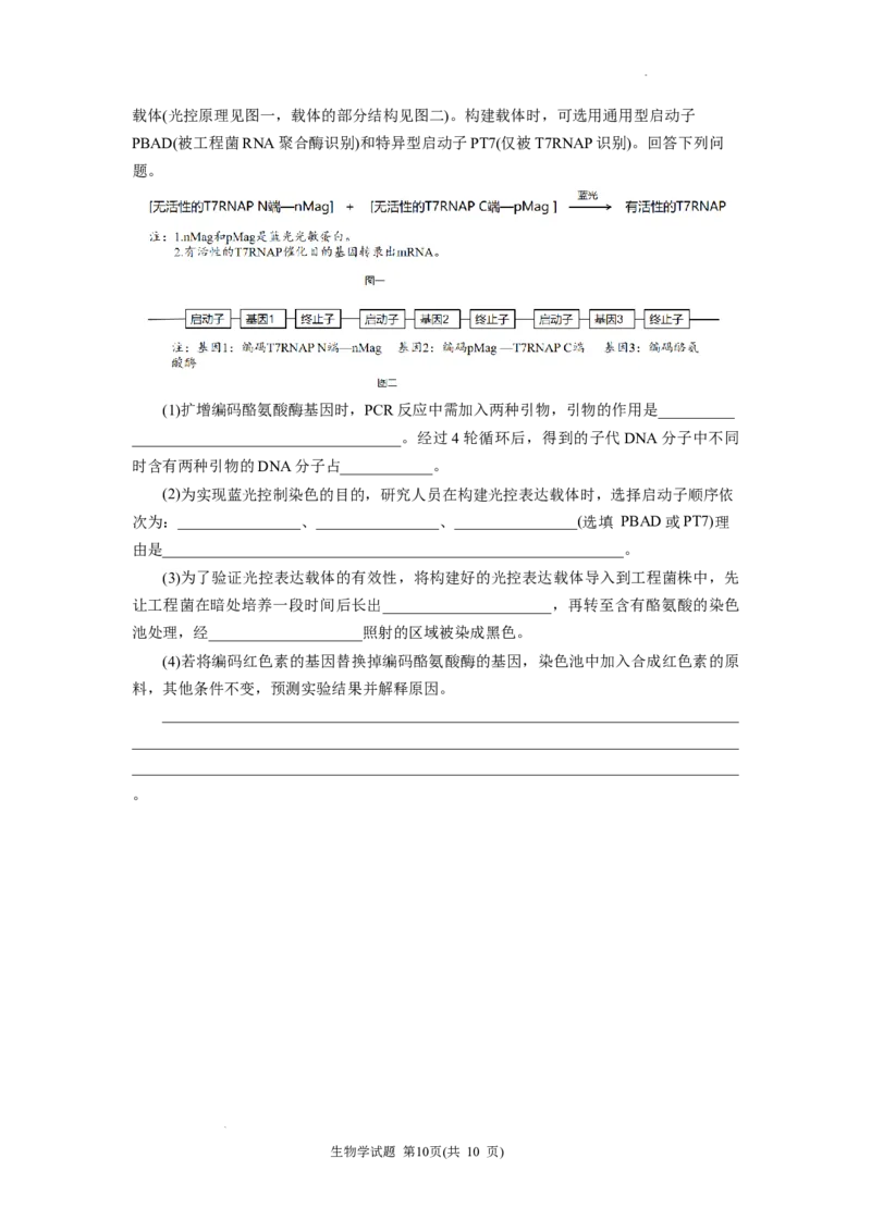 黑龙江省&ldquo;六校联盟&rdquo;2025届高三上学期联合适应性考试生物_2024-2025高三（6-6月题库）_2025年02月试卷_0202黑龙江省&ldquo;六校联盟&rdquo;2025届高三上学期联合适应性考试（全科）