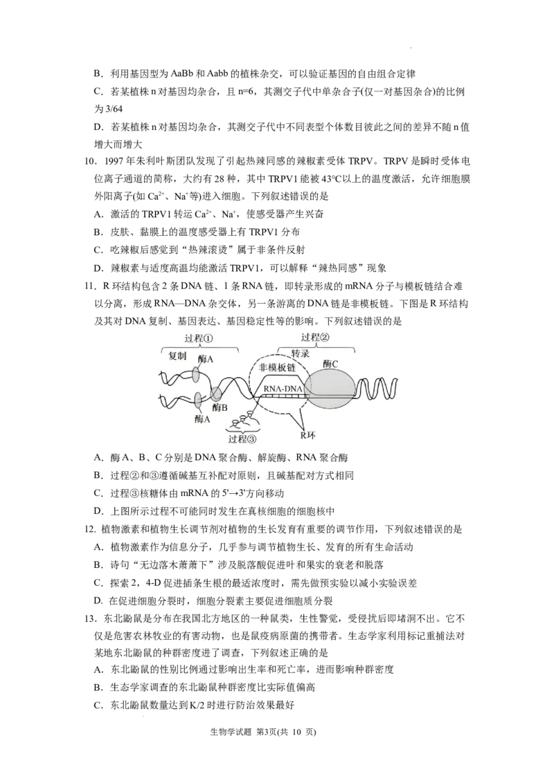 黑龙江省&ldquo;六校联盟&rdquo;2025届高三上学期联合适应性考试生物_2024-2025高三（6-6月题库）_2025年02月试卷_0202黑龙江省&ldquo;六校联盟&rdquo;2025届高三上学期联合适应性考试（全科）