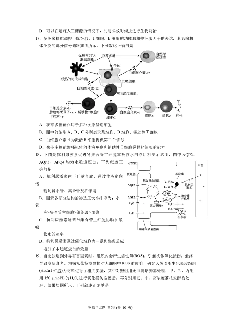 黑龙江省&ldquo;六校联盟&rdquo;2025届高三上学期联合适应性考试生物_2024-2025高三（6-6月题库）_2025年02月试卷_0202黑龙江省&ldquo;六校联盟&rdquo;2025届高三上学期联合适应性考试（全科）