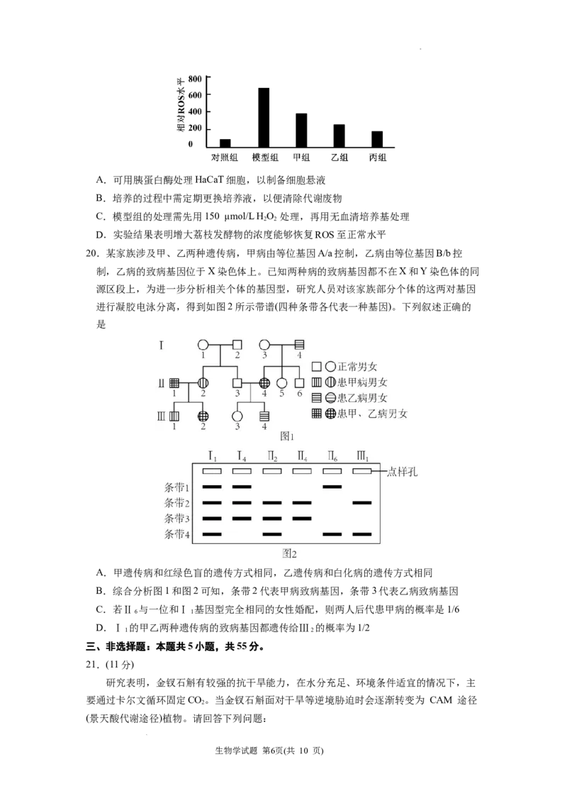 黑龙江省&ldquo;六校联盟&rdquo;2025届高三上学期联合适应性考试生物_2024-2025高三（6-6月题库）_2025年02月试卷_0202黑龙江省&ldquo;六校联盟&rdquo;2025届高三上学期联合适应性考试（全科）