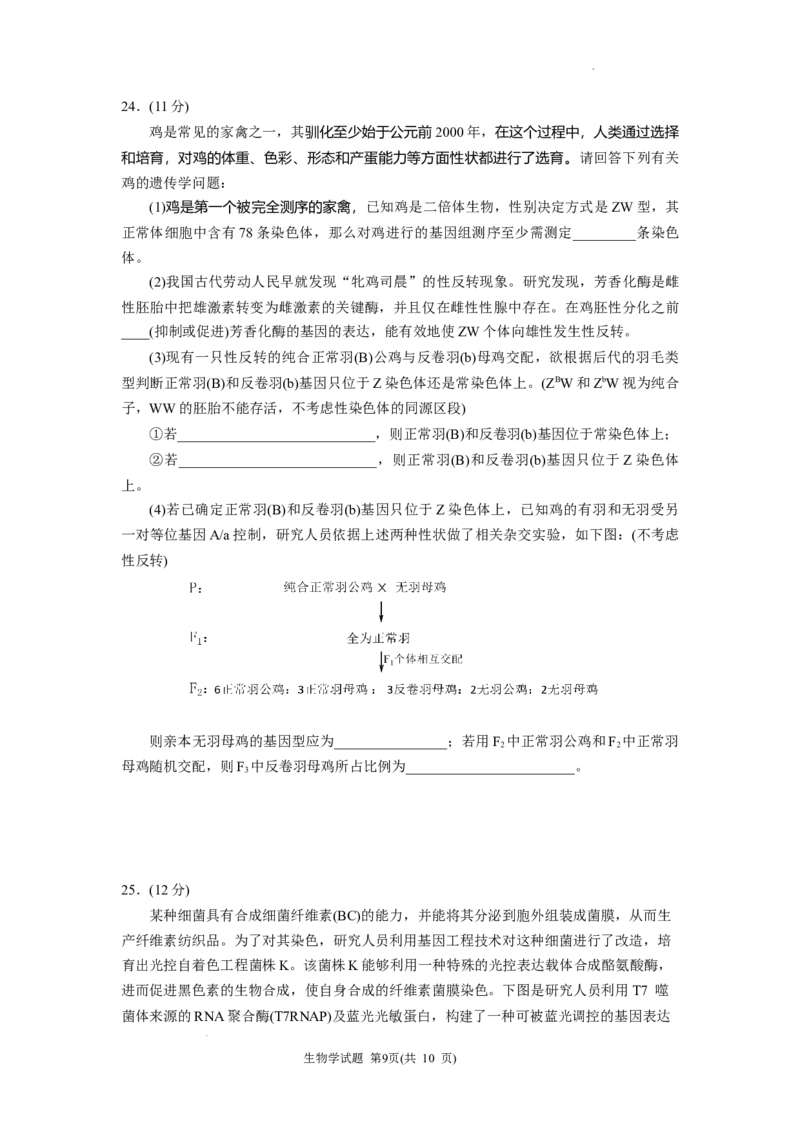 黑龙江省&ldquo;六校联盟&rdquo;2025届高三上学期联合适应性考试生物_2024-2025高三（6-6月题库）_2025年02月试卷_0202黑龙江省&ldquo;六校联盟&rdquo;2025届高三上学期联合适应性考试（全科）