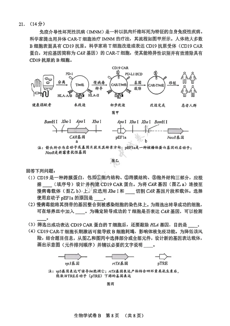 生物卷-2512广州零模_2024-2026高三（6-6月题库）_2025年12月高三试卷_251225广东省广州市2026届高三年级上学期12月调研测试（广州零模）（全科）