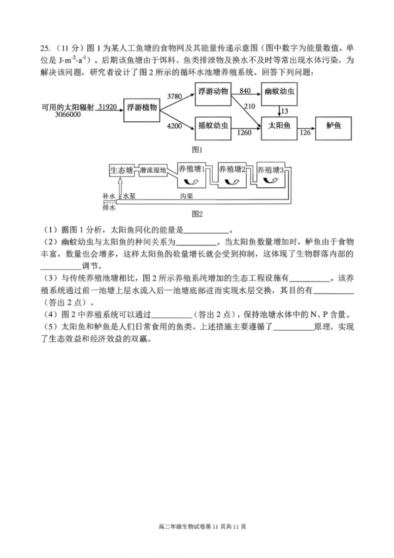 生物试卷-2027届辽宁省五校联盟高二上学期期末考试试卷答案（东北育才、省实验、大连8、24中、鞍山一中）_2024-2025高二（7-7月题库）_2026年1月高二