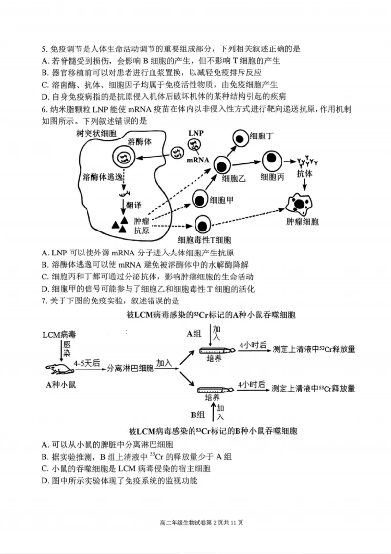 生物试卷-2027届辽宁省五校联盟高二上学期期末考试试卷答案（东北育才、省实验、大连8、24中、鞍山一中）_2024-2025高二（7-7月题库）_2026年1月高二