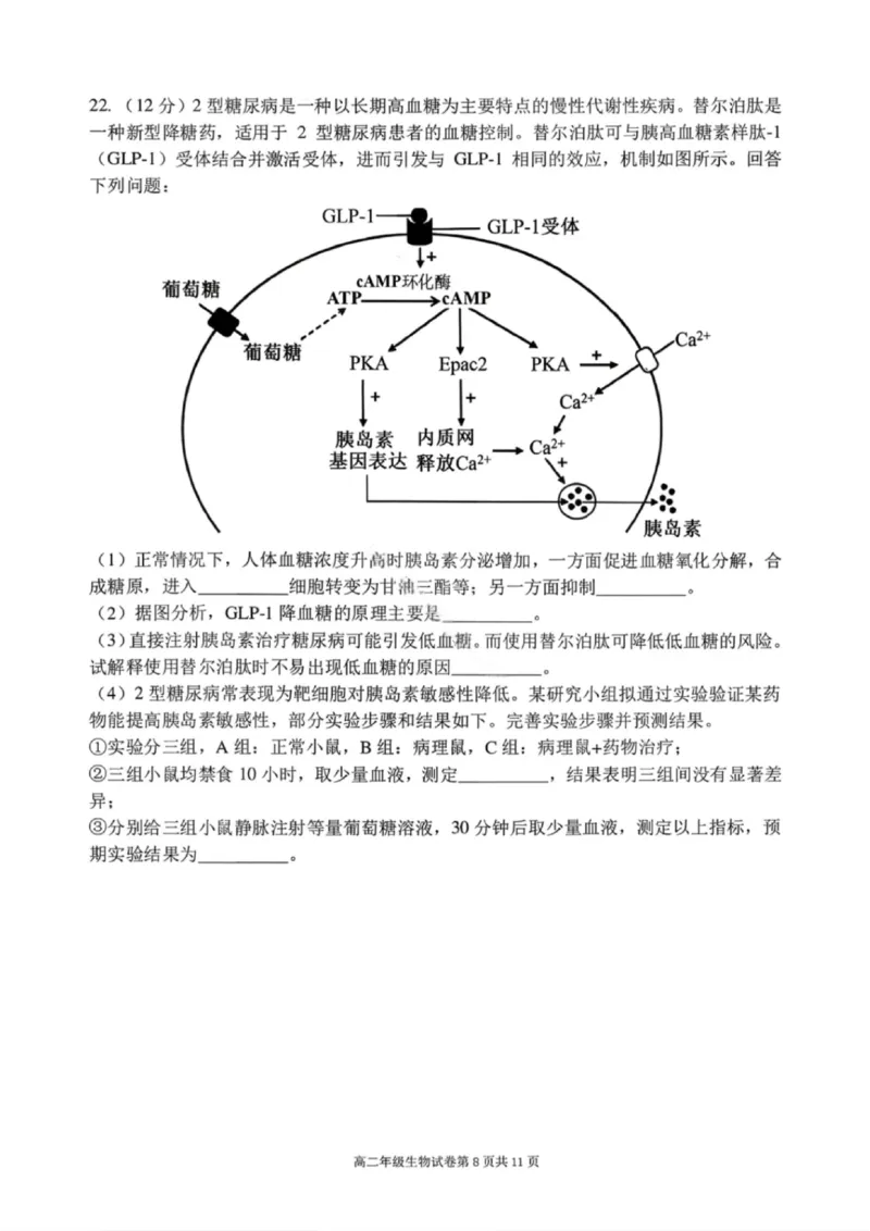 生物试卷-2027届辽宁省五校联盟高二上学期期末考试试卷答案（东北育才、省实验、大连8、24中、鞍山一中）_2024-2025高二（7-7月题库）_2026年1月高二