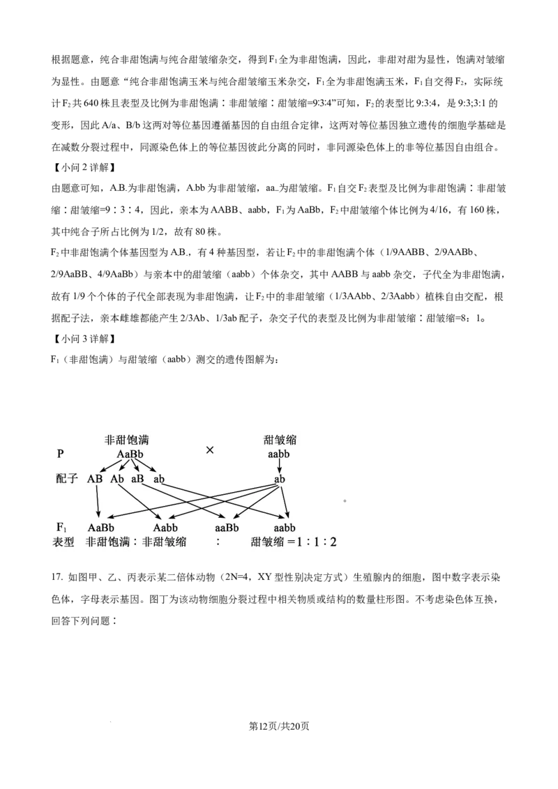 精品解析：安徽省县中联盟2025-2026学年高二上学期10月联考生物试题（解析版）_2025年10月高二试卷_251019安徽省县中联盟2025-2026学年高二上学期10月月考