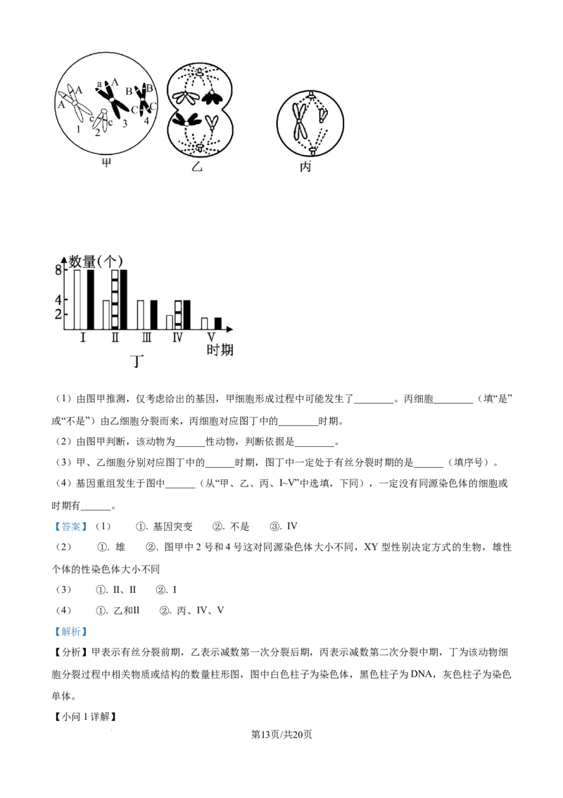 精品解析：安徽省县中联盟2025-2026学年高二上学期10月联考生物试题（解析版）_2025年10月高二试卷_251019安徽省县中联盟2025-2026学年高二上学期10月月考