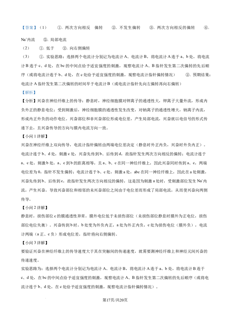 精品解析：安徽省县中联盟2025-2026学年高二上学期10月联考生物试题（解析版）_2025年10月高二试卷_251019安徽省县中联盟2025-2026学年高二上学期10月月考