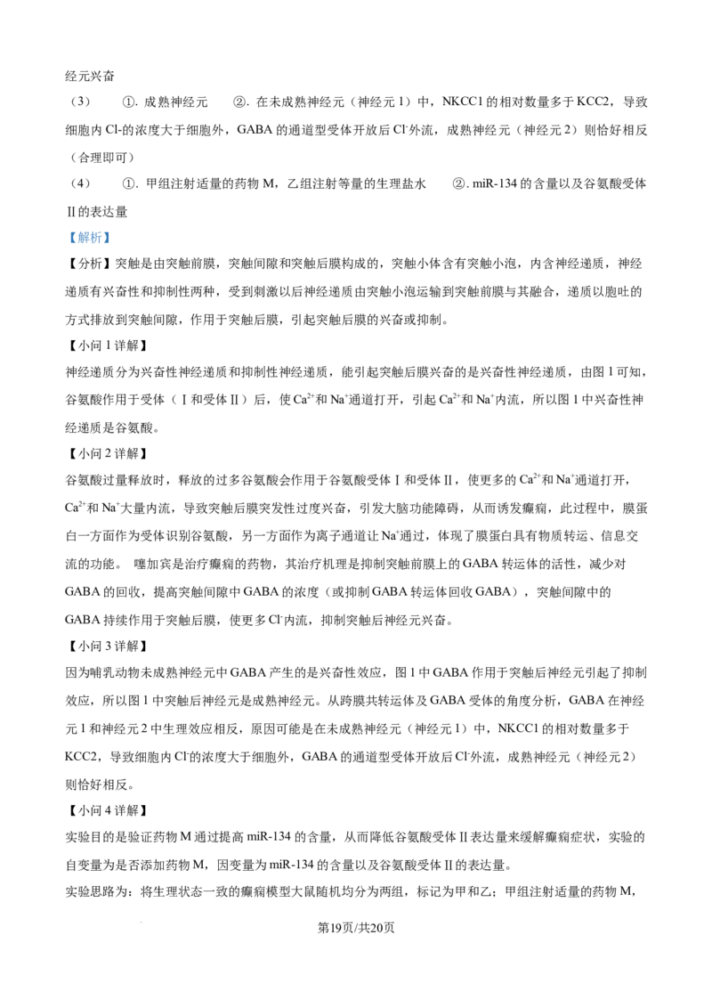 精品解析：安徽省县中联盟2025-2026学年高二上学期10月联考生物试题（解析版）_2025年10月高二试卷_251019安徽省县中联盟2025-2026学年高二上学期10月月考
