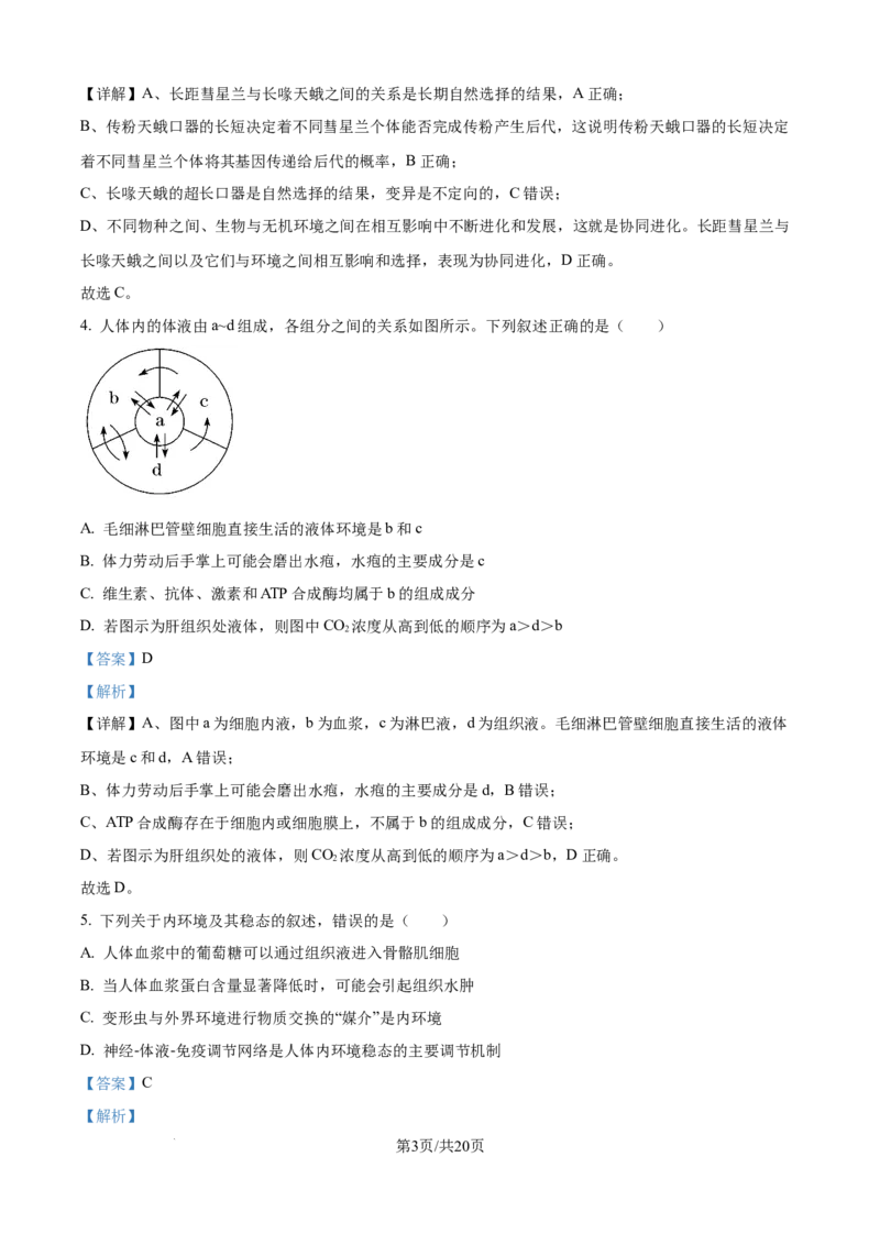 精品解析：安徽省县中联盟2025-2026学年高二上学期10月联考生物试题（解析版）_2025年10月高二试卷_251019安徽省县中联盟2025-2026学年高二上学期10月月考