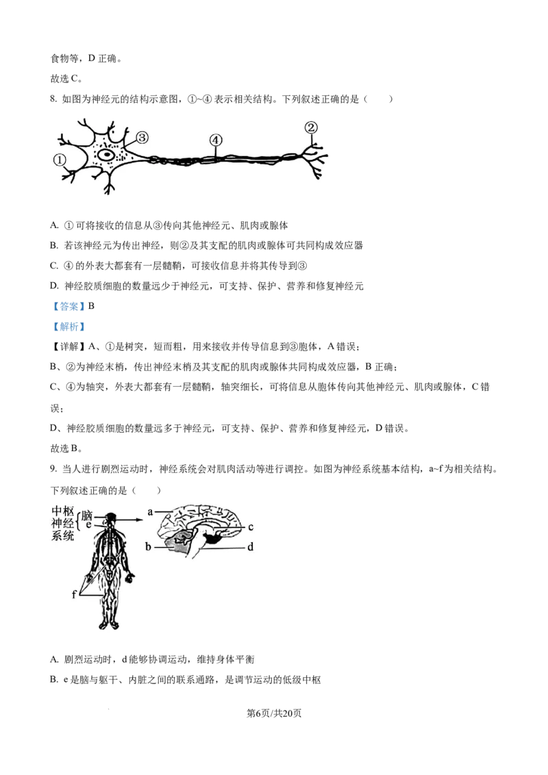 精品解析：安徽省县中联盟2025-2026学年高二上学期10月联考生物试题（解析版）_2025年10月高二试卷_251019安徽省县中联盟2025-2026学年高二上学期10月月考