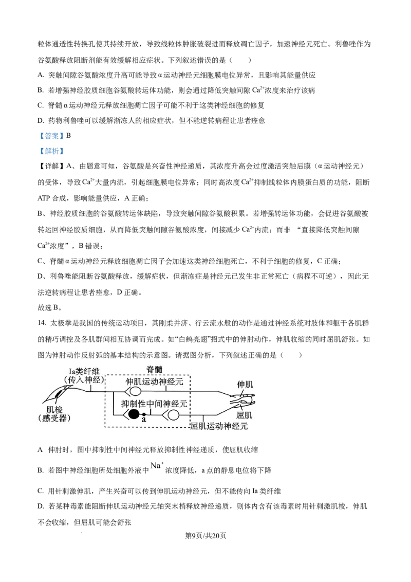 精品解析：安徽省县中联盟2025-2026学年高二上学期10月联考生物试题（解析版）_2025年10月高二试卷_251019安徽省县中联盟2025-2026学年高二上学期10月月考
