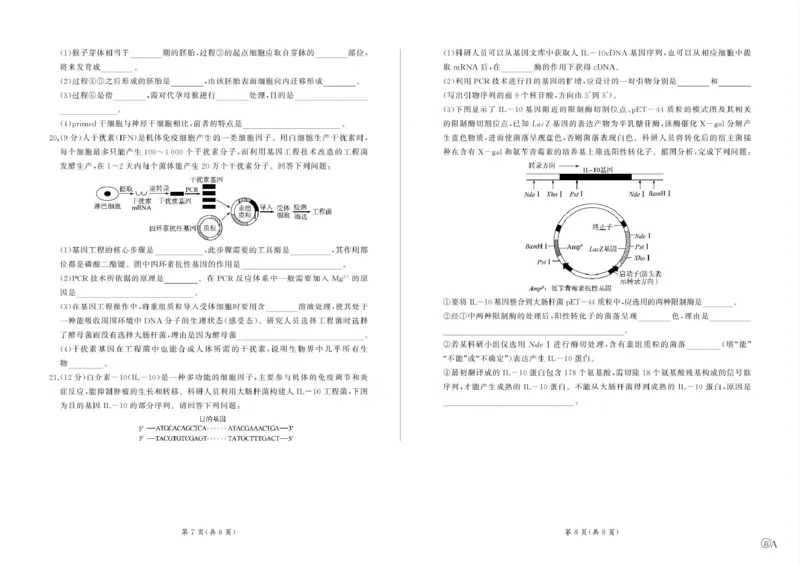 甘肃省酒泉市四校2024-2025学年高二下学期4月期中联考试题生物（A）PDF版含解析_2024-2025高二（7-7月题库）_2025年6月试卷_0609甘肃省酒泉市四校2024-2025学年高二下学期4月期中联考试题