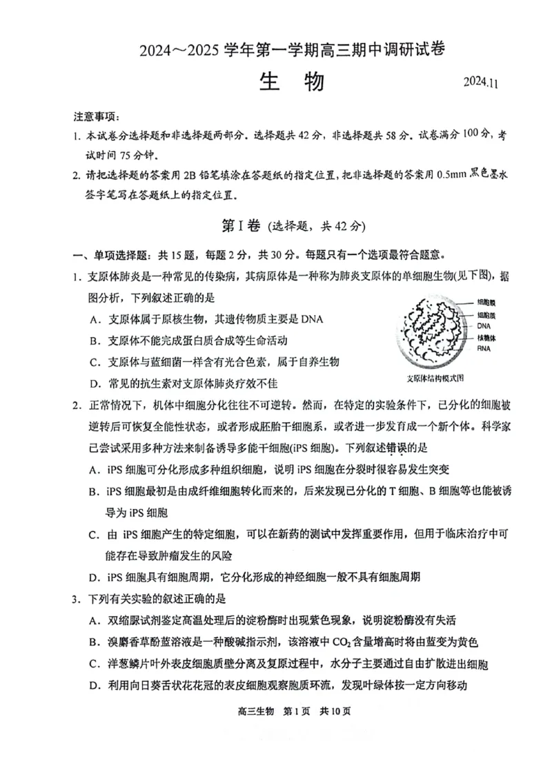 生物试卷_2024-2025高三（6-6月题库）_2024年11月试卷_1116江苏省苏州市2024-2025学年高三上学期11月期中调研（全科）_江苏省苏州市2024-2025学年高三上学期11月期中调研生物